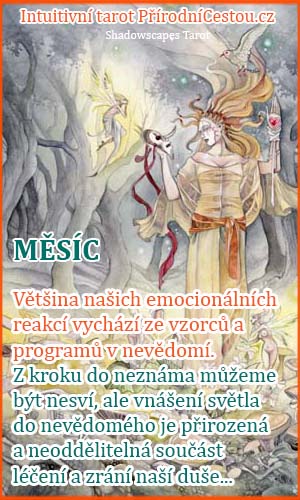 intuitivni-tarot-mesic